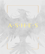 PRE-ORDER Ashes Big Box Storage Solution
